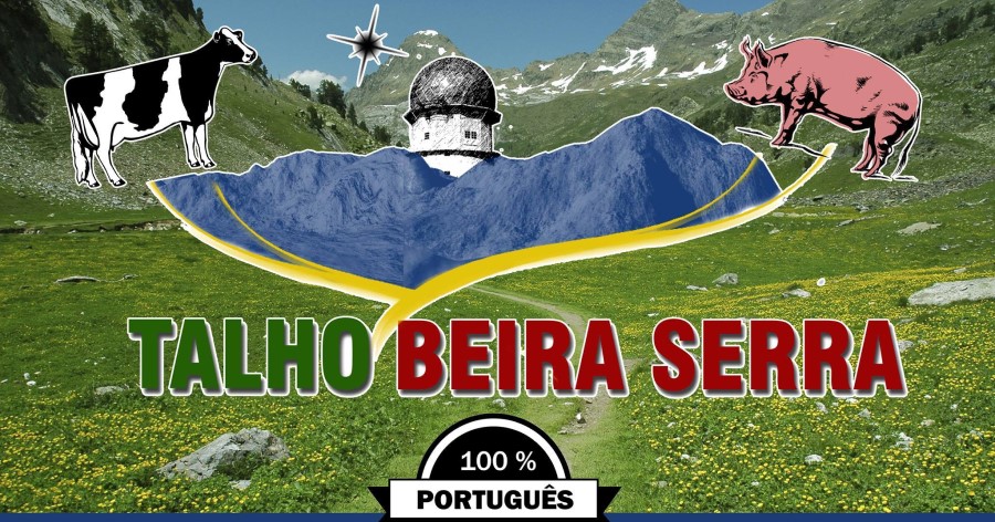 1649038719701-talho-portugues-suiça-empresas-vaud-aigle-beira-serra.jpg